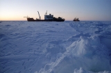 Na led zamrzlého Weddellova moře jsem se dostal cestou z Nelsonu na Sever. 