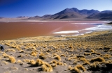 Laguna Colorada