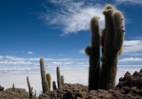 Salar de Uyuni